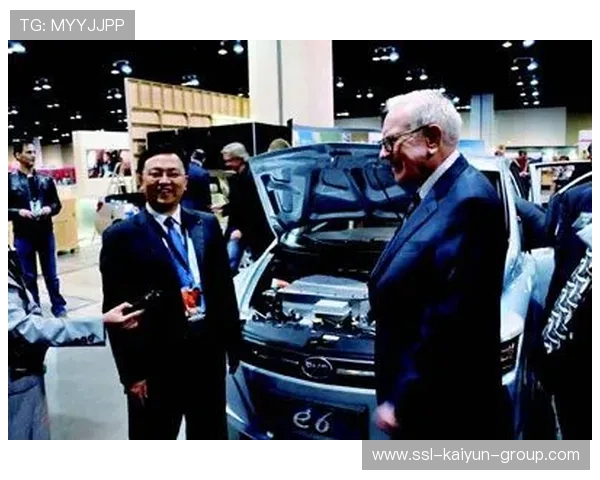 巴菲特放弃王传福，投资逻辑引关注，《巴菲特传》